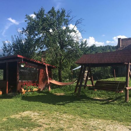 Casa Oana Ioana Guest House Моечу де Жос Екстериор снимка