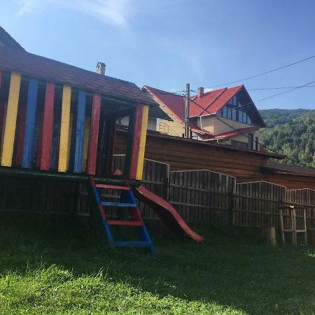 Casa Oana Ioana Guest House Моечу де Жос Екстериор снимка